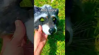 Pt.3 of making a raccoon mask🦝#therian #therianmask #yaelokre #harpyhare #quadrobics #catmask
