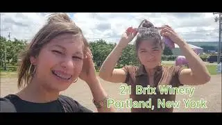 Wine Tasting @21brixwinery65in Portland, New York | Winery Pink Elephant | Sweet Wine (Valentus)