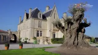 CHATEAU PAPE CLEMENT - BERNARD MAGREZ