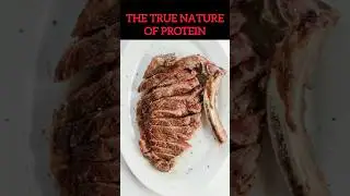 Why Protein DOESN'T Burn More Calories #shorts