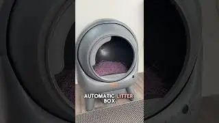 Automatic litter box