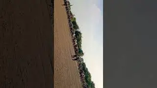 ghode ki race