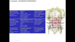 ANATOMIA TOPOGR&Aacute;FICA DE TRONCO: CAVIDADE ABDOMINAL - ANATOMOPATOLOGIA