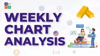 #4 Weekly Chart Analysis (Gold, Bitcoin, Crude Oil, USD, EUR, GBP, JPY & AUD)