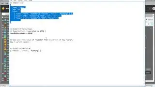 JSON Parser Bot-Automation Anywhere