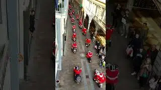 Harley Christmas  Parade🎄✨👍 #harleybikers #motorcycle #harley