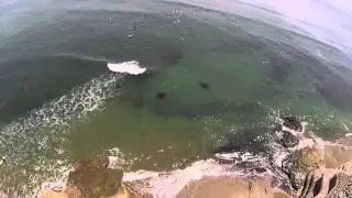 38th Avenue Drone Surf - Pleasure Point