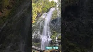 Proxy Falls, Oregon #pnwadventures #nature #pnw #travel #waterfall #adventure #pnwlove #hiking