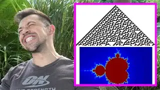Cellular Automata & Complexity