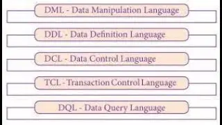 SQL COMPONENTS