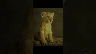 King Mindset 😎👑 #shorts #shortvideo #mufasa #lionking #motivation
