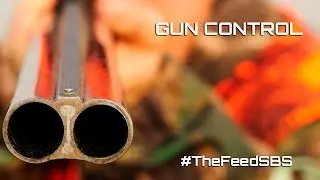 Gun legislation: why is it being relaxed? - The Feed