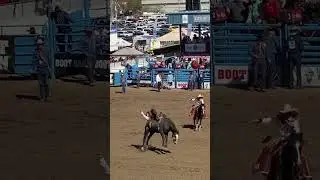 Bucking Bronco @ Tucson Rodeo #rodeo #bronco #rider