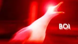 Itssa Duck Q͏͞u̧͢a̡̢͜c̀̀͘͏k̷͏̷̕ ̸̧̡͞Q̛͝u̧͢͟͡a̡͜͡c̨k̶