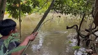 Awalnya Tenang2 Saja Tapi Pas Di Angkat, Tiba2 Terbang Sampai Hampir Tersungkur Ke Sungai