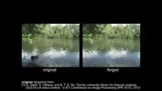 Video forgeries examples
