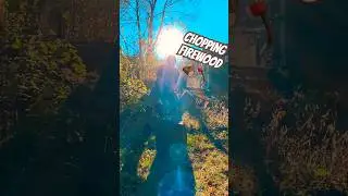 Wood Chopping Sights & Sounds - Splitting Firewood ASMR