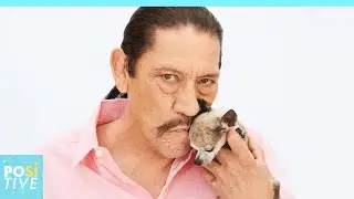 This is how Machete feed his chihuahua and many people aren&rsquo;t happy | Positive