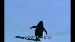 The Penguin Mountain Song - Gigi D'Agostino L'Amour Toujours | Organ Version Slowed