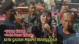 Gelang Kalung - Pedut Pasar Ngunut❗Seni Gajah Puspo Manggolo