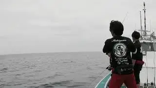 Sjig  アクション