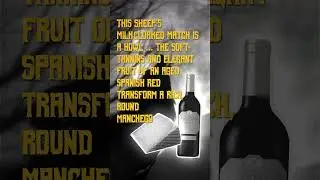 Spooky Seasonal Cheese and Wine Pairings: Manchego and Rioja