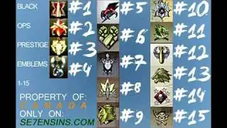 InSaNiiTy Clan's 1-15 Prestige Emblems