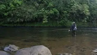 Echo Glass Switch 4wt