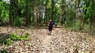 A short movie: Unknown mission in the jungle