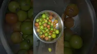 #kulmakha