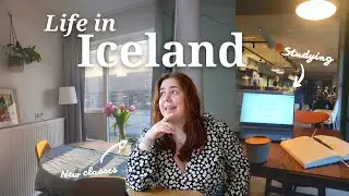 Days in the University of Iceland: Studying, Writing Essays and Hunting Northern Lights
