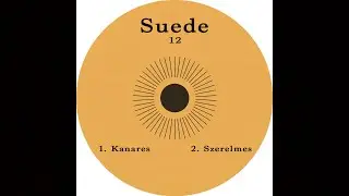 Unknown Artist - Szerelmes [Suede 12]