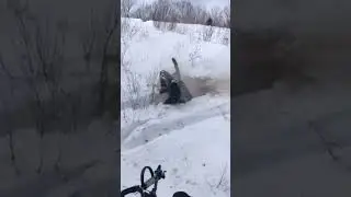 Extreme pin and wiggle action #sled #snowmobile
