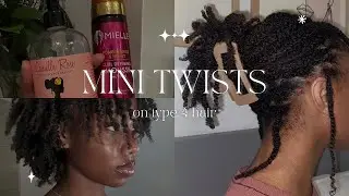 Perfecting My Mini Twist Routine for Natural Hair Growth