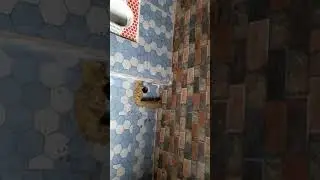 Tiles setting#tilesdesign#marveldesign#bestdesignfloor#