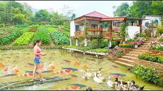 TIMELAPSE _366 Days Journey of Woman Building A House On Mud Pond | from Start to Finish
