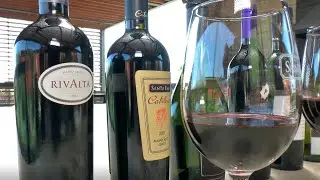 Visita Vi&ntilde;a Santa Ema