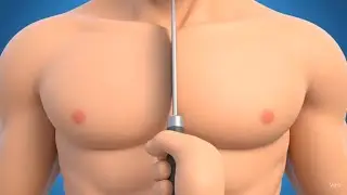 Human body parts asmr video 3d cartoon #human #body #asmr #medical #3danimation