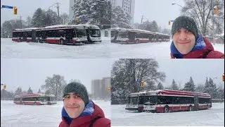 First Snowstorm of 2026! Toronto Snow Walk in North York + TTC Buses Stuck in Snow! (Jan 15th, 2026)