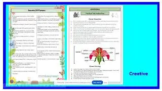 Grade 7 Natural Science for Term 1