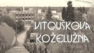 Vitouškova koželužna