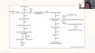 IBS-D & 5-HIAA