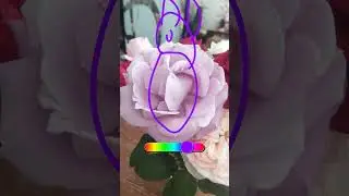 8 июня 2025 г.