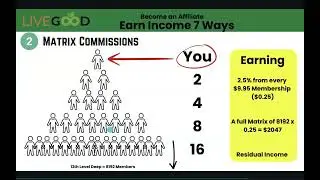 LiveGood Compensation Plan Made Simple 2025