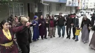ahmet bozkurtun oglu ibrahim bozkurt düğünü