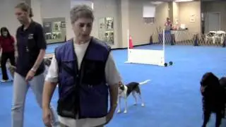 Staten Island Companion Dog Training Club