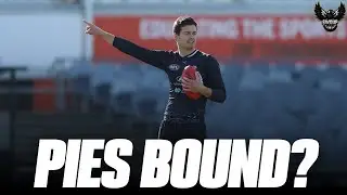 Silvagni LEAVES Carlton | Pies in Box Seat
