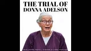 Donna Adelson Trial &mdash; Georgia Cappleman&rsquo;s Blistering Cross of Defense Legal Expert on &ldquo;Contentiou...