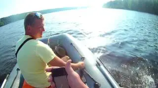Лодка Викинг 360 мотор Марлин 9.9