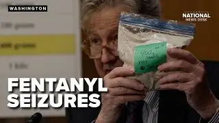 47M fentanyl-laced counterfeit pills and 10K pounds of fentanyl powder seized in 2025: DEA